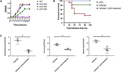 Proteomic Analysis Revealed Metabolic Inhibition and Elongation Factor Tu Deamidation by p-Coumaric Acid in Cronobacter sakazakii